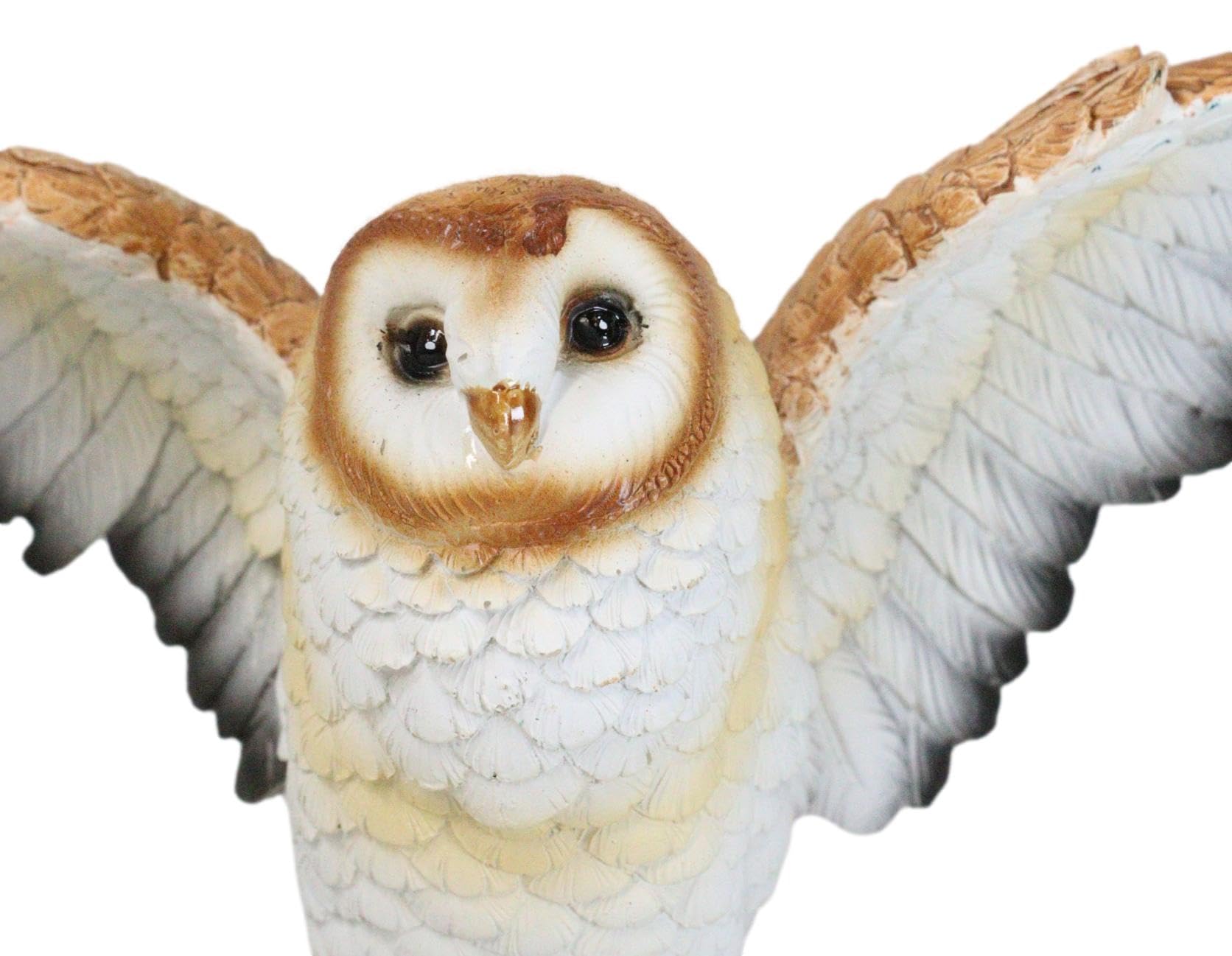 Amazon.co.jp: エブロス リアルな自然野生生物 翼を広げる一般的な納屋